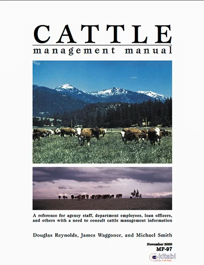 Cattle